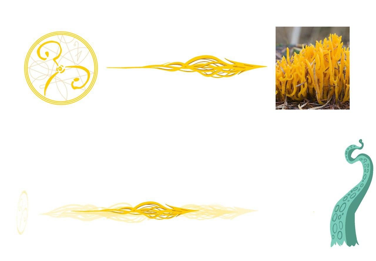 pc_ketrich_flavifer_03